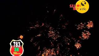 CGF-783s.wmv