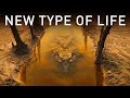 Finally, Evidence of Life on Titan! And It’s Weirder Than We Thought