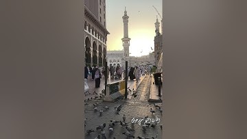 ﴿ الْحَجُّ أَشْهُرٌ مَّعْلُومَاتٌ ۚ ﴾[ البقرة: 197]سورة : البقرة - Al-Baqarah  - الجزء : ( 2 ) 