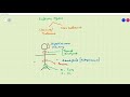 Introduction to Endocrine Pharmacology