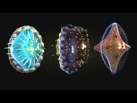 Специфики при създаването на 3D анимация. Симеон Сокеров