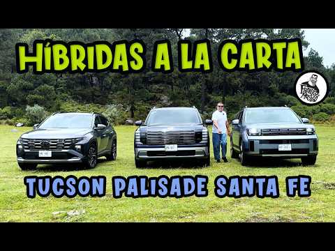 Híbridas a la carta con Hyundai