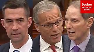 BREAKING NEWS: John Thune, Tom Cotton Debate Ron Wyden On Senate Floor Over FISA As Lapse Nears