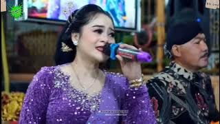 Full 1 Jam Lagu-lagu Top Cokek Mania Mudho Laras Brsama Rini Epeledut, Wulan, Intan & Bayan Ragil Mc