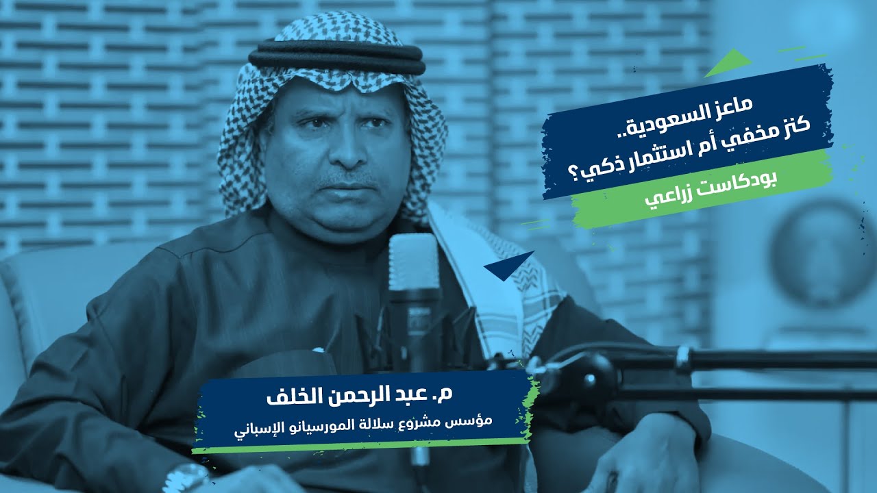 ماعز السعودية.. كنز مخفي أم استثمار ذكي؟