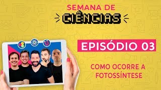 FOTOSSÍNTESE (Parte 3) - Aula interdisciplinar | Ciência em Ação