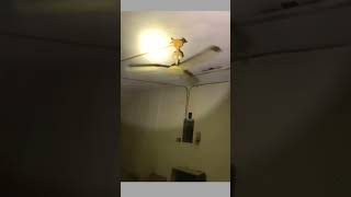 KIPAS ANGIN BERPUTAR DENGAN SENDIRINYA #explore #jin