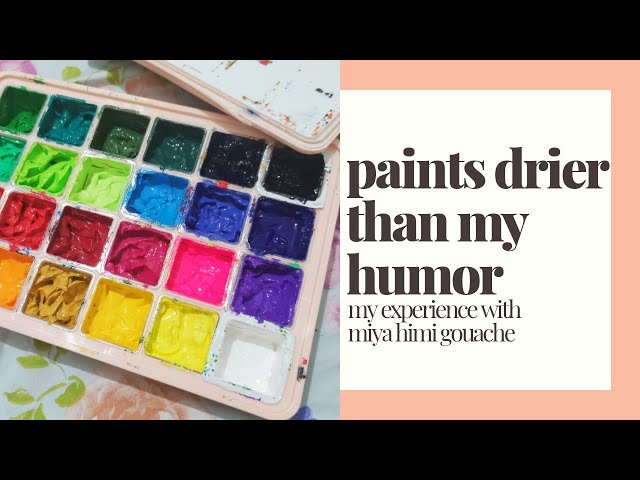 Himi/Miya gouache Review! // What I like and don't like 