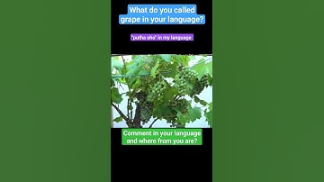 What do you called grape in your language? #shorts #grape #tellyourlanguage