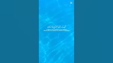 القرآن الكريم.تلاوة هادئة تريح النفس #راحة_نفسية #الرحمن #المصحف