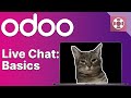 Live chat basics  odoo helpdesk