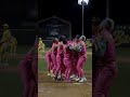Would You Ride this Roller Coster? #bananaball #rollercoaster #dance #partyanimals #baseball