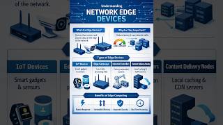 Understanding Network Edge Devices Net Worth