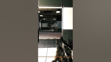 How flashbangs in COD feel like