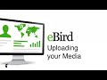 Uploading Your Media on eBird - eBird Essentials