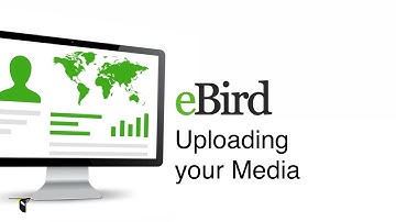 Uploading Your Media on eBird - eBird Essentials