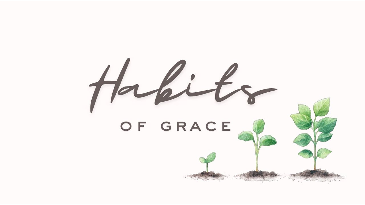 The Habit of Reading | 2 Timothy 