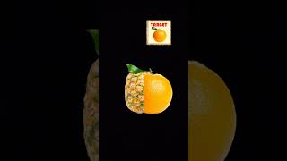 suraj Kumar 🍊🍆🥭🍋