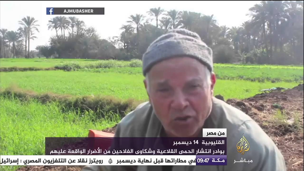 من مصر | الشارع المصري وأبرز الأخبار يوم 14-12-2015