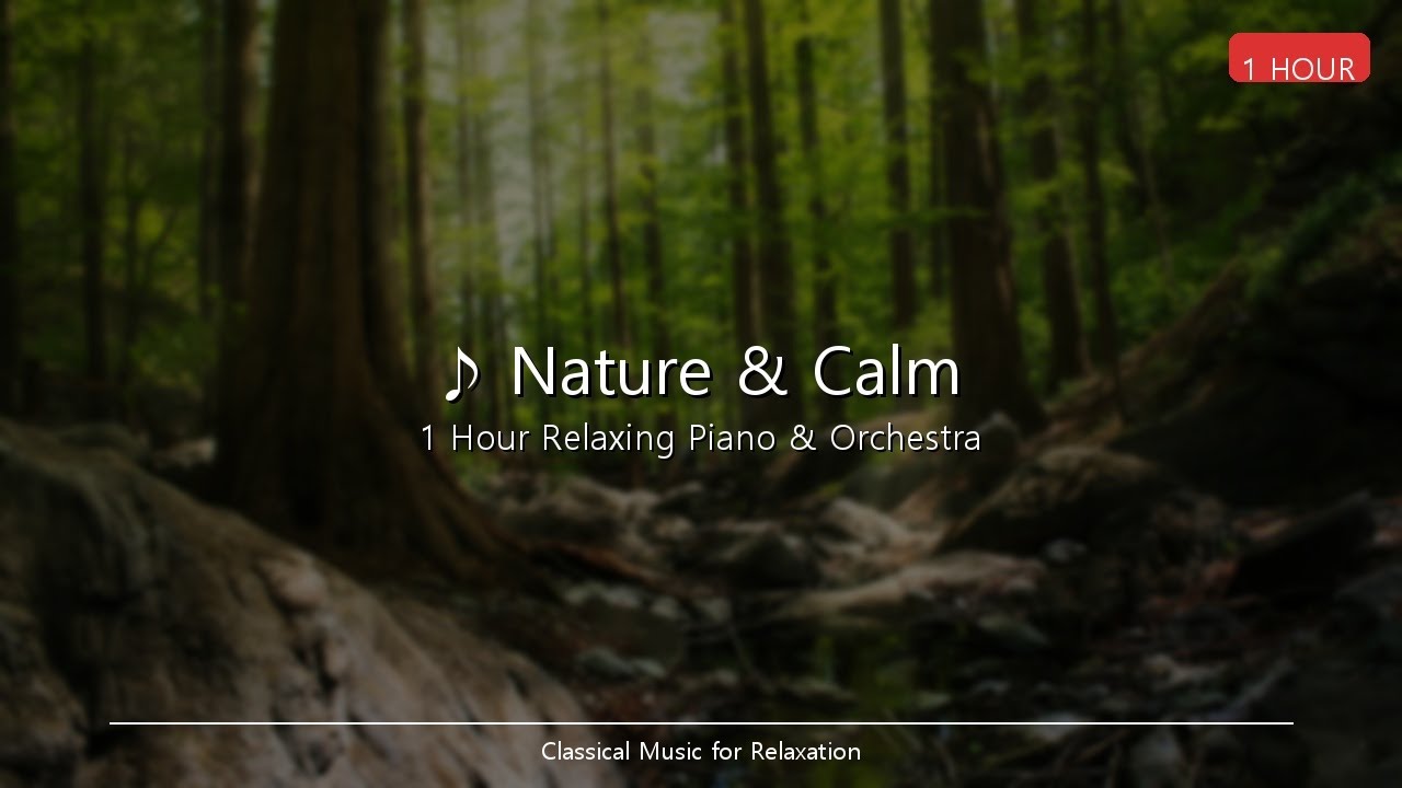 Nature & Calm | 1 Hour Classical Music - Chopin, Beethoven, Bach