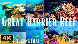 Great Barrier Reef 4K | Relaxing Film | With Underwater Relaxing Music |