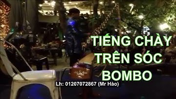 Tiếng Chày Trên Sóc Bombo - Đàn T