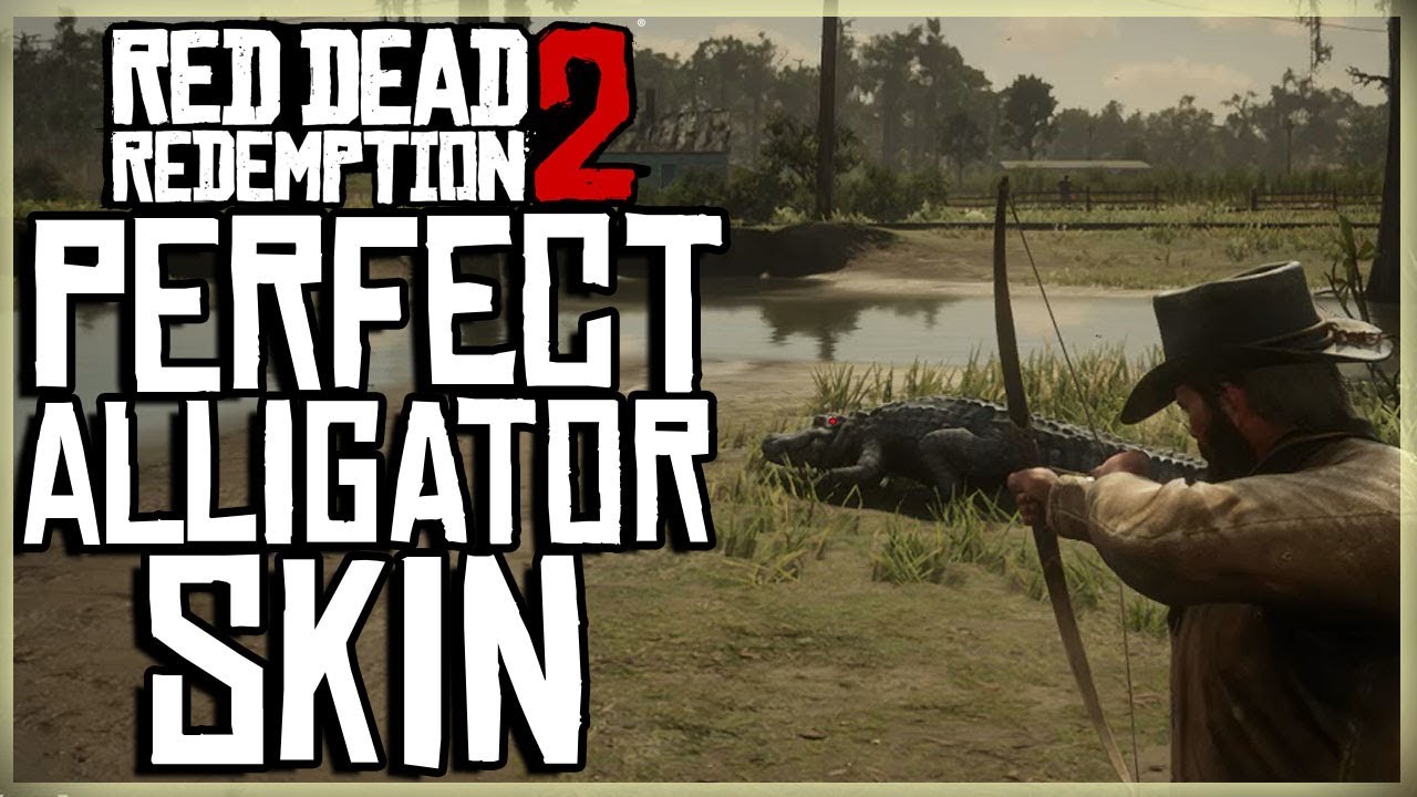 How To Get Perfect Alligator Skin Rdr2 HOW TO GET A PERFECT ALLIGATOR SKIN - RED DEAD REDEMPTION 2 PRISTINE