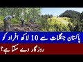 10 Lac Jobs From Pakistan Forests | Rich Pakistan