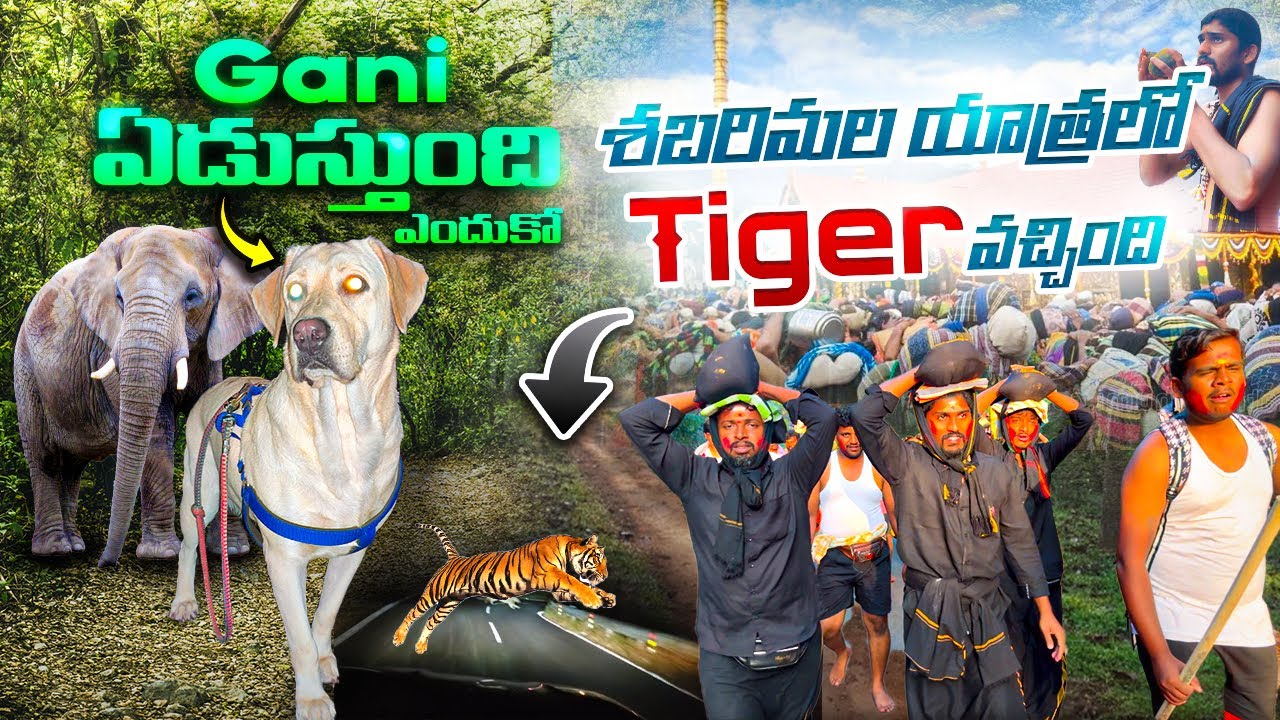 Gani ఏడుస్తుంది ఎందుకో..😭| శబరిమల యాత్రలో Tiger వచ్చింది..🐅| Elephants | 903Km @Upendragani shorts vlogs