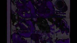 Tibia Nightmares
