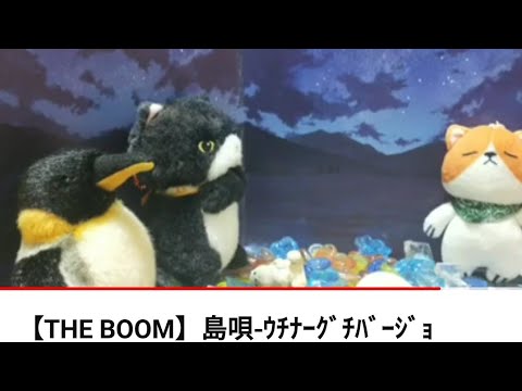 【THE BOOM】島唄-ｳﾁﾅｰｸﾞﾁﾊﾞｰｼﾞｮﾝ-（1992）/cover-233 #宮沢和史