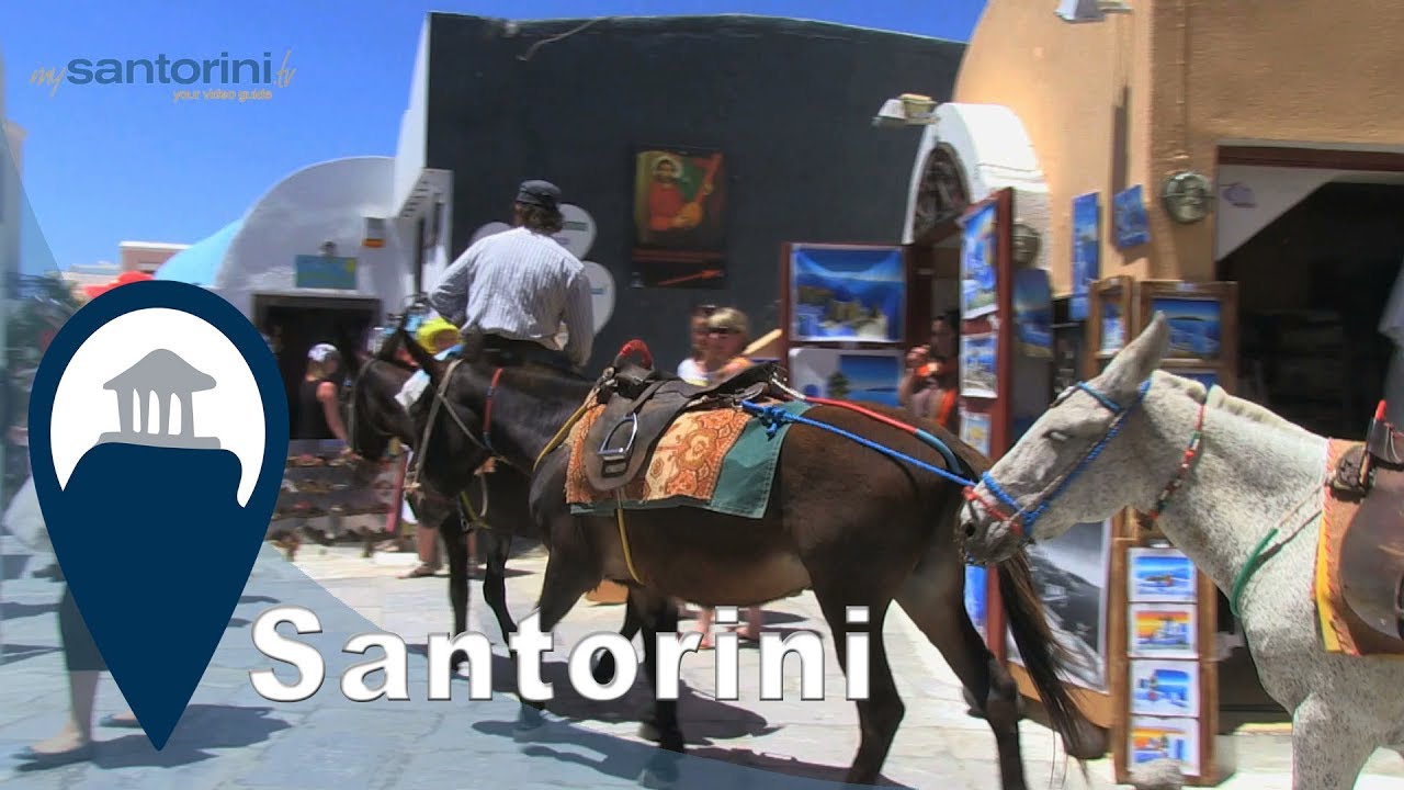 Santorini | A Ride With A Donkey