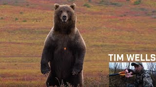 Tim Wells Shoots Grizzly Bear And Morrell?