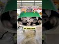 Speed Affects Machine Life#FloorGrinder #ConstructionEquipment #MachineOperation