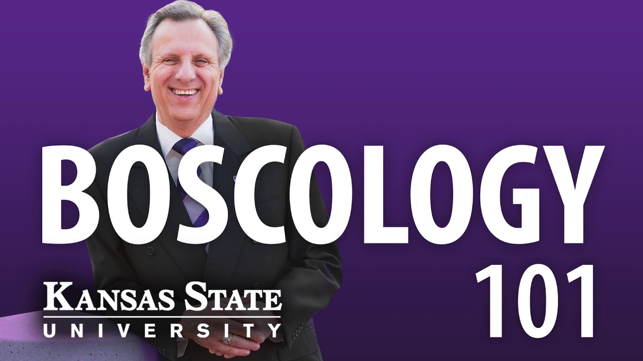 Boscology 101 - #01 - The Culture of Kansas State University