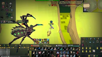 300% Enrage Araxxor kill with Mage