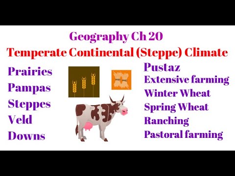 Geography Ch 20 - Temperate Continental ( Steppe type ) Climate