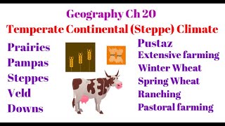 Geography Ch 20 - Temperate Continental ( Steppe type ) Climate screenshot 4