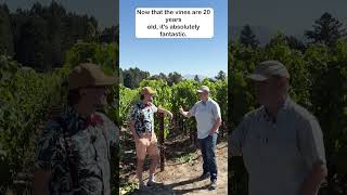 Thumbnail for Why Sonoma's DuMOL Plants Pinot Noir like Burgundy