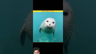Three amazing facts 💀 #animals #facts #viral #shorts #lifeisbutadream