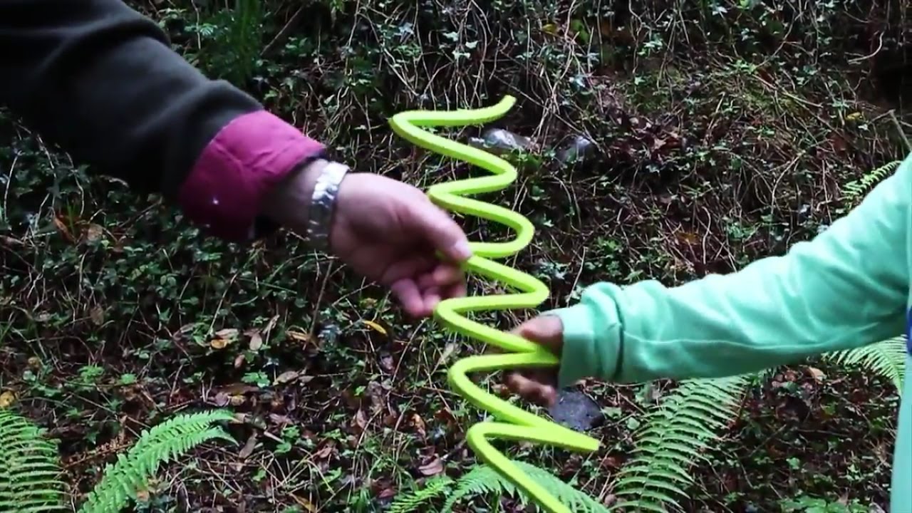 Herri Ametsa ikastolak 50 urte bete ditu