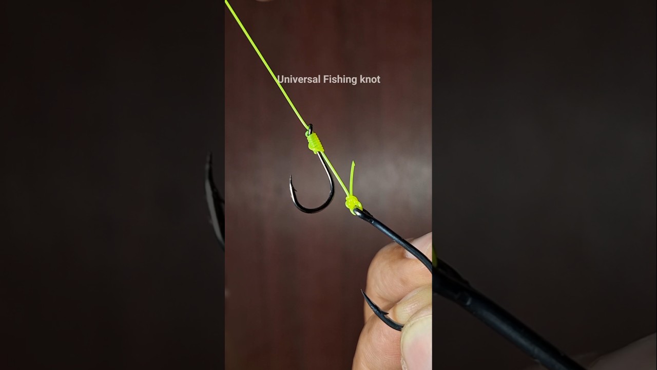 Easy tips for fishing v168 