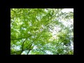 好きな歌メドレー　愛はかげろう～桜空　【ｃｏｖｅｒ】