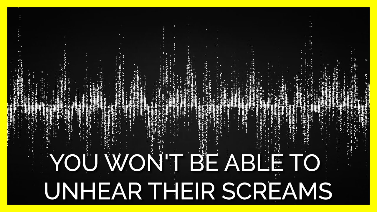 Owls at Johns Hopkins Lab You Won't Be Able to Unhear Their Screams YouTube