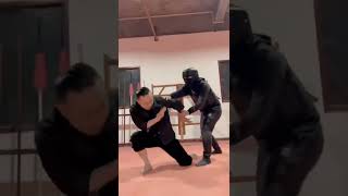 WING CHUN PUNCH AND KICK #Shorts