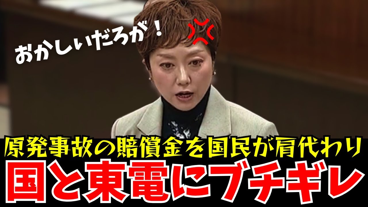 【山本太郎】これぞ国民の代弁者!国がゴリ押しした原発政策をぶった斬る!【れいわ新選組】#山本太郎 #れいわ新選組 #れいわを与党に #れいわ #消費税 #消費税廃止#奥田ふみよ