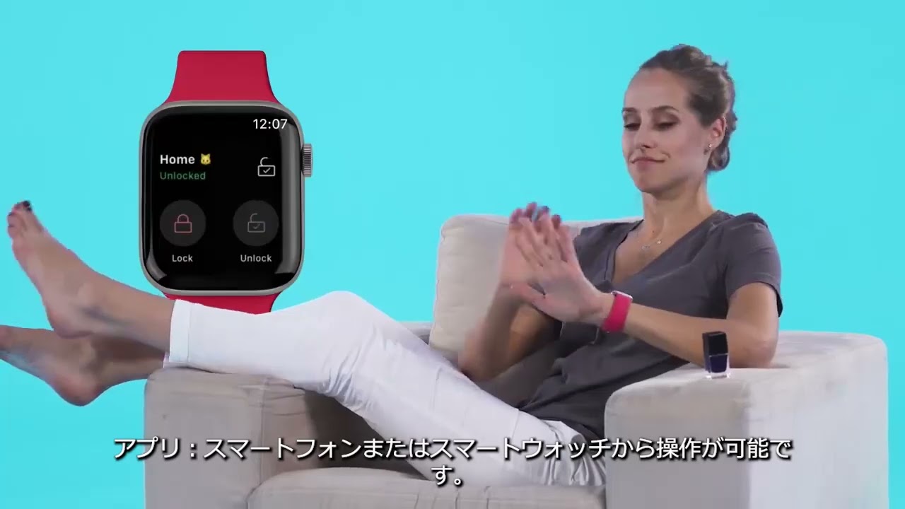 玄関ドア向け｜電気錠の交換・修理・取り付けのことなら電気錠ドット
