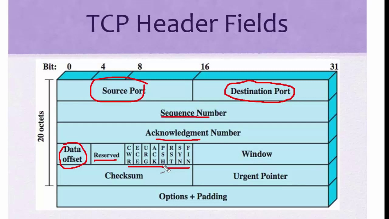 Internet network security tcp/ip header layer 7 - YouTube