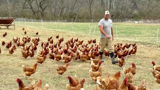 Yonah Mountain Farms | Sustainable Farming in Sautee Nacoochee, GA