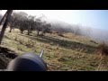 Hunting Wild Dogs, Calling them in. Warning! Content may offend.